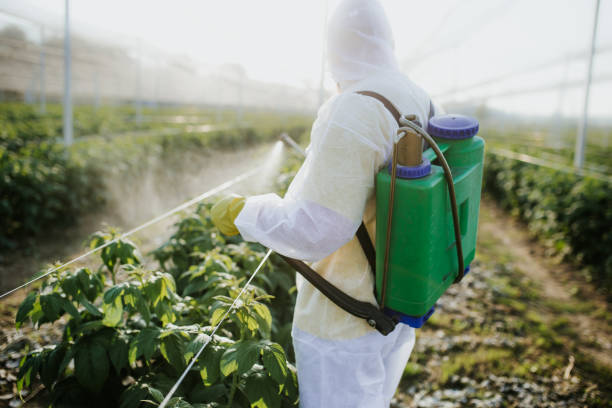 Best Pest Prevention Services  in Zuni Pueblo, NM